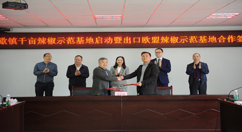 1651041488353506.png 1.png