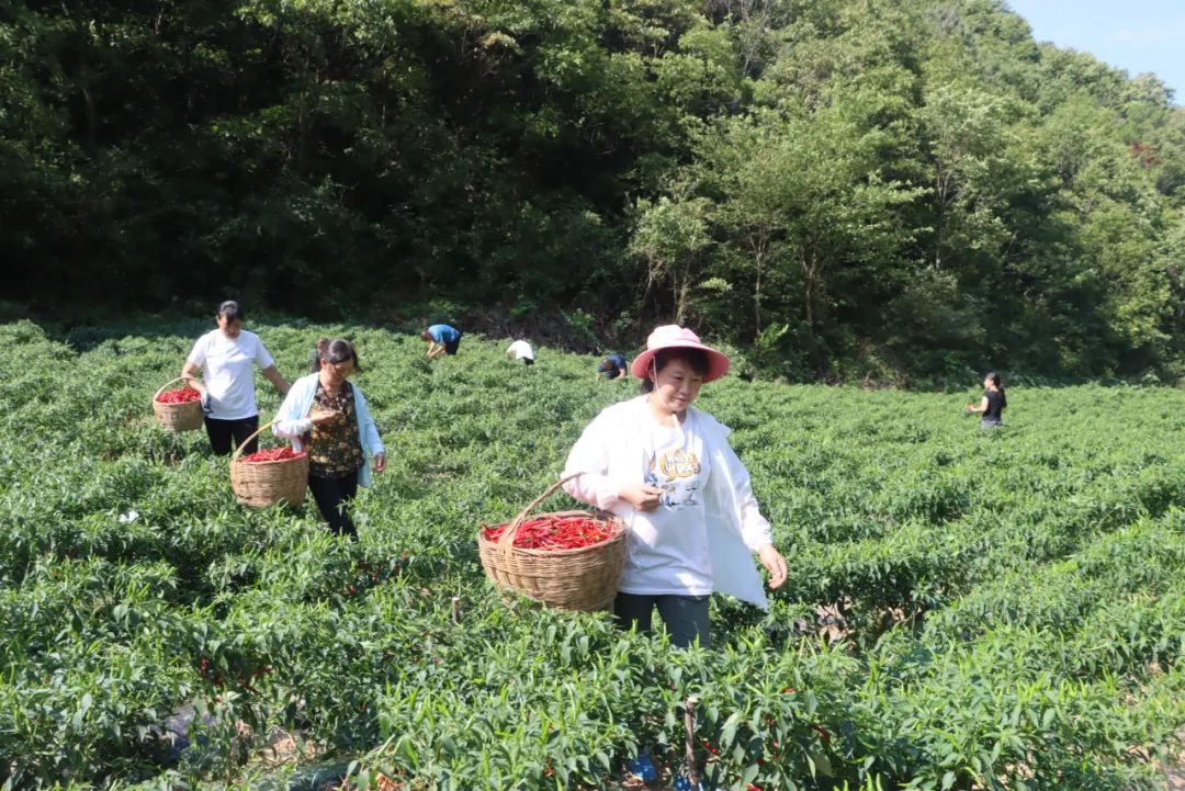 1691376412424434.jpg 11.jpg