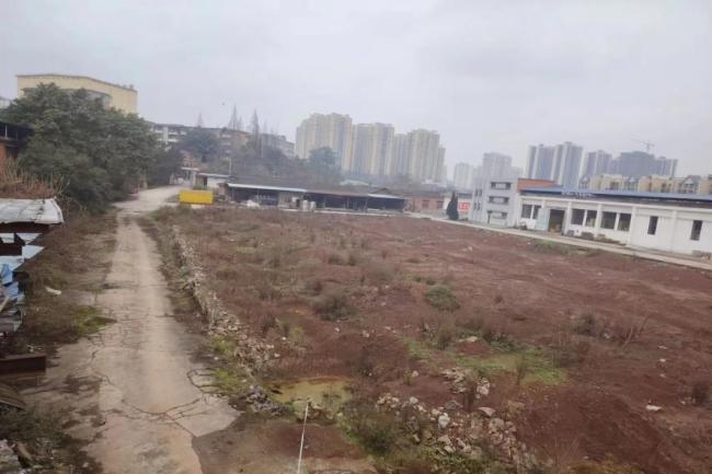 1735782044118160.jpeg 17.jpeg