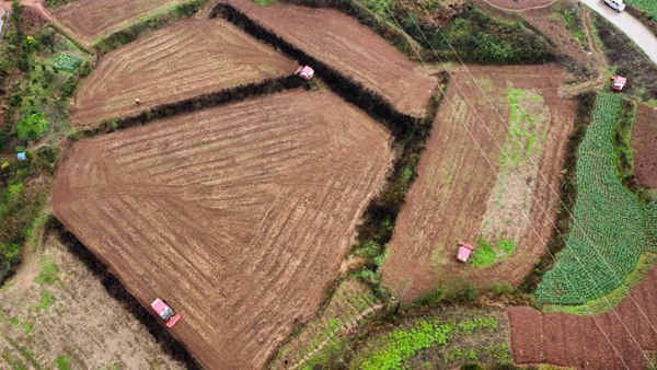 1739524120679466.jpg 1.jpg