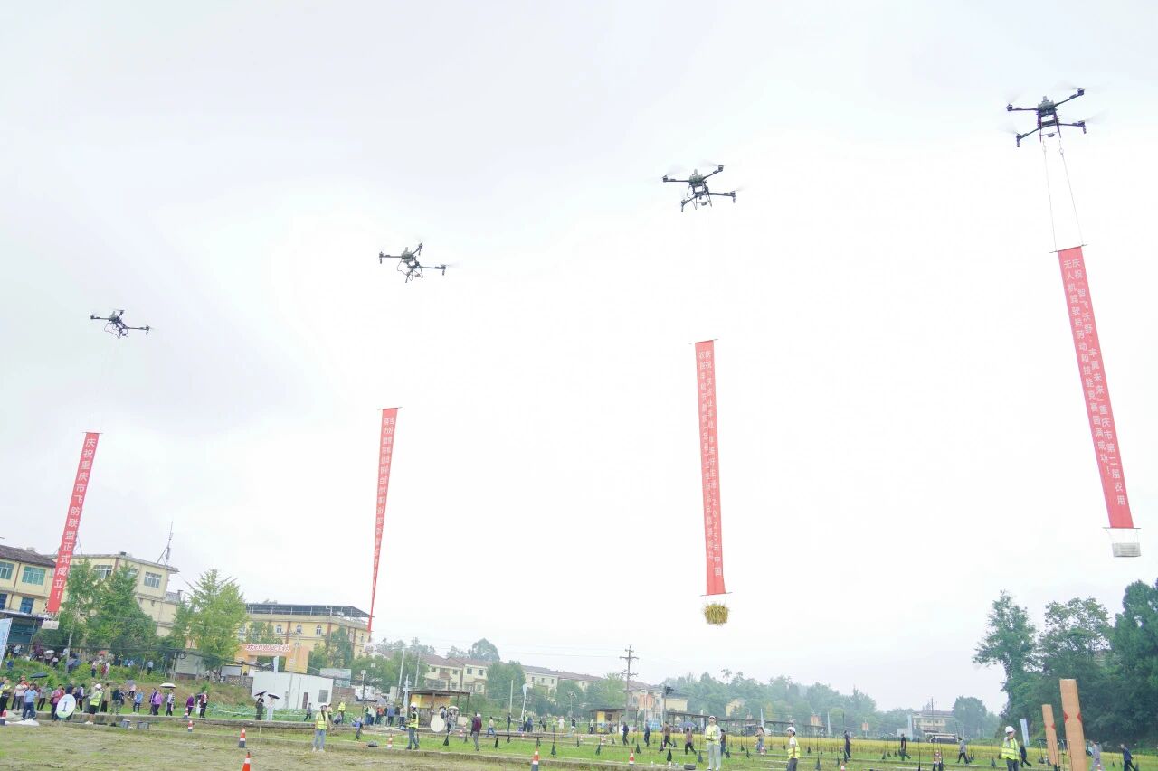 1758762912203859.jpg 1.jpg